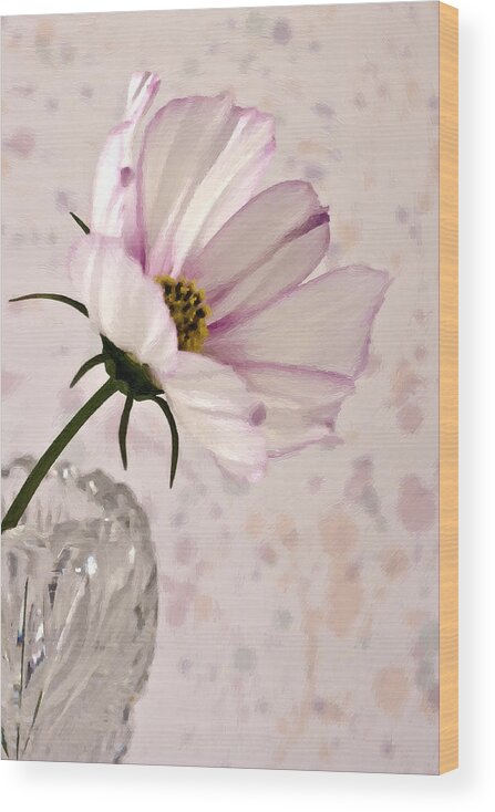 Pink Cosmo Wood Print featuring the photograph Pink Cosmo - Digital Oil Art Work by Sandra Foster