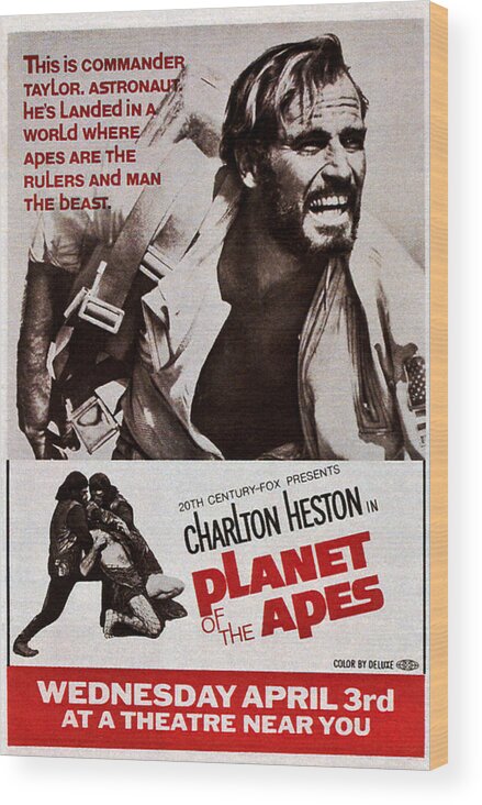 1960s Movies Wood Print featuring the photograph Planet Of The Apes, Top Charlton by Everett