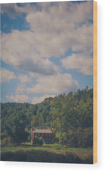 Plantation Wood Print featuring the photograph Plantation House by Shane Holsclaw