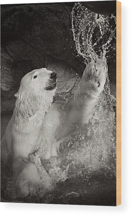 Polar Bear Wood Print featuring the photograph Playtime by Jessica Brawley