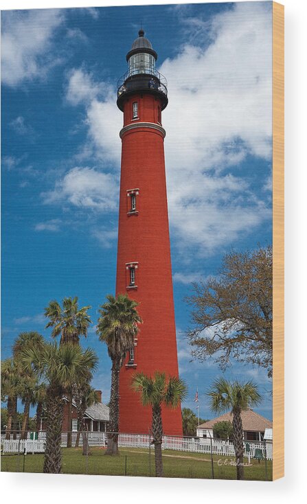 Lighthouse Wood Print featuring the photograph Ponce Inlet Lighthouse by Christopher Holmes