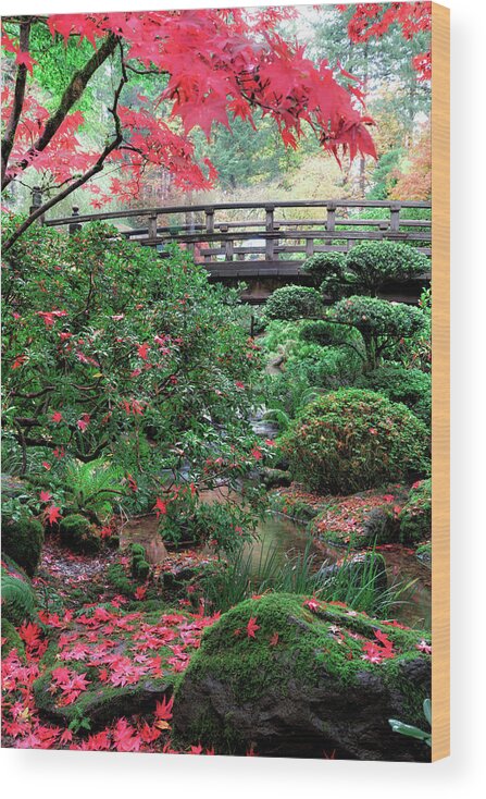 Garden Wood Print featuring the photograph Portland Garden by Raf Winterpacht