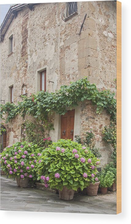 Old Stone House Wood Print featuring the photograph Potted Hydrangeas by Sally Weigand