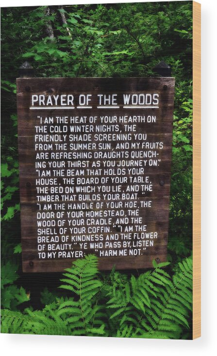 Prayer Wood Print featuring the photograph Prayer of the Woods by Michelle Calkins