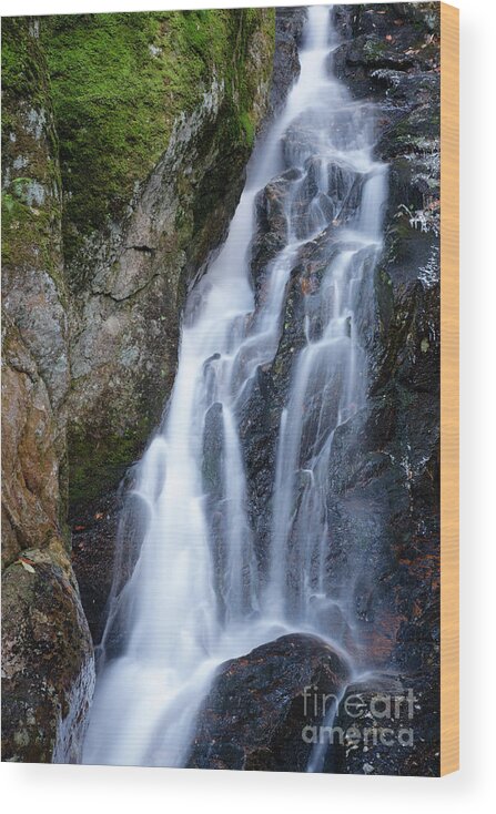 Proteus Falls Wood Print featuring the photograph Proteus Falls - White Mountains New Hampshire USA by Erin Paul Donovan