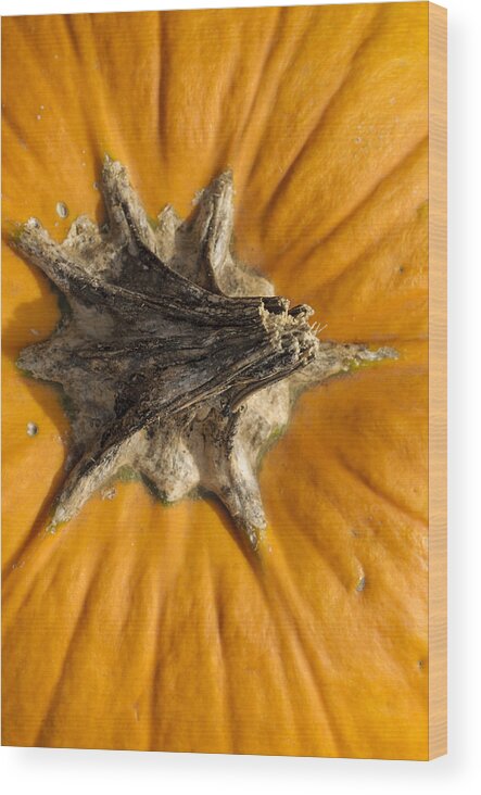 Pumpkin Point Wood Print featuring the photograph Pumpkin Point by Christi Kraft