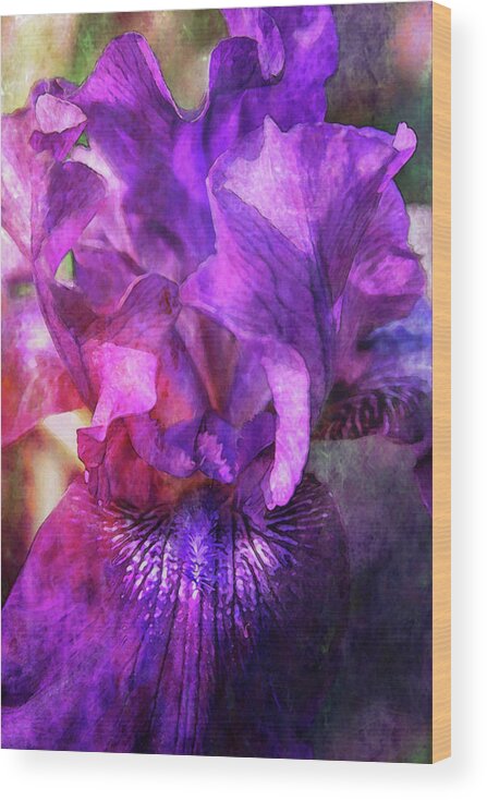 Purple Wood Print featuring the photograph Purple Iris Digital Painting 6147 DP_2 by Steven Ward