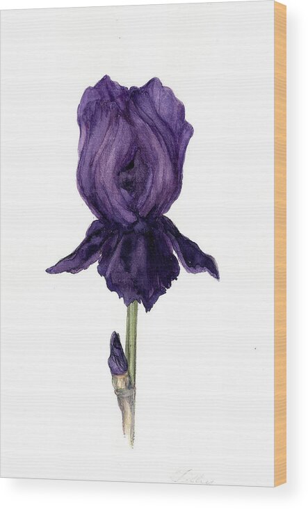 Botanical Wood Print featuring the painting Purple iris. by Susan Tilley