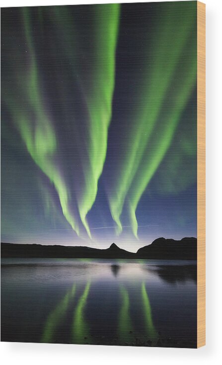 Aurora Wood Print featuring the photograph Quad Aurora by Kolbein Svensson