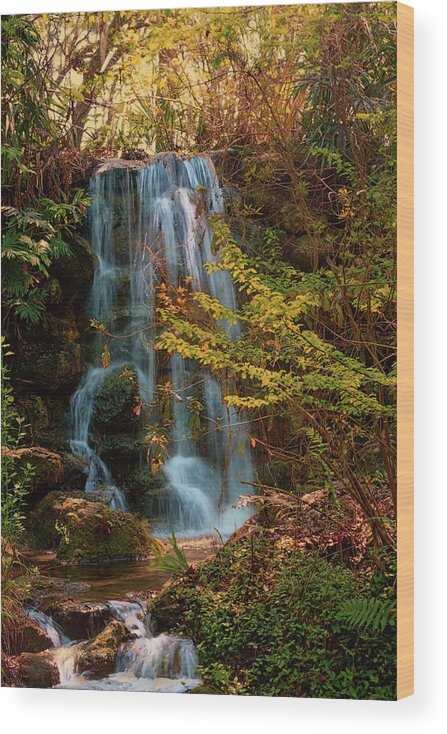 Rainbow Springs Waterfall # Rainbow Springs# Tubing # State Park # Kayak # Camping # Dunnellon # Waterfall # Rainbow River #snorkeling�#swimming #the Rainbow River #florida#marion County # Wood Print featuring the photograph Rainbow springs waterfall by Louis Ferreira