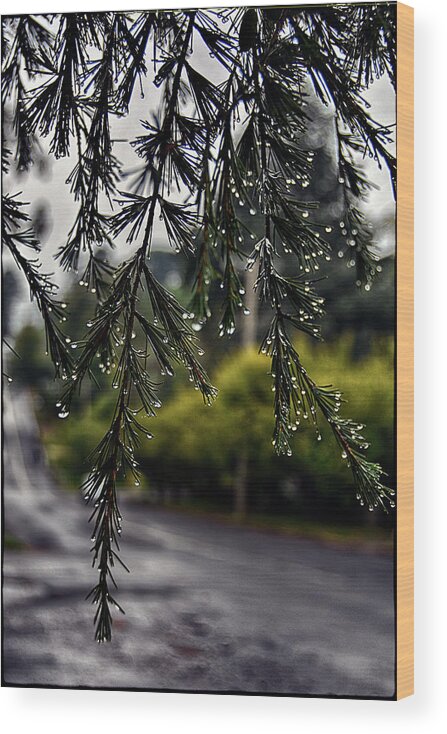 Rain Wood Print featuring the photograph Rainy morning by Andrei SKY