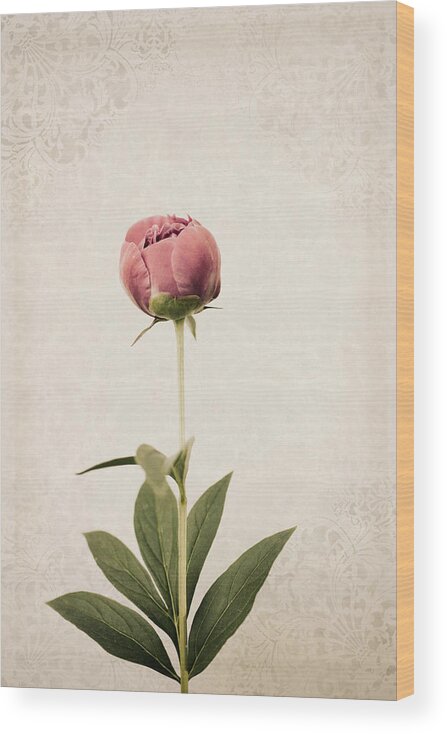 Peony Wood Print featuring the photograph Ready to Bloom by Robin-Lee Vieira