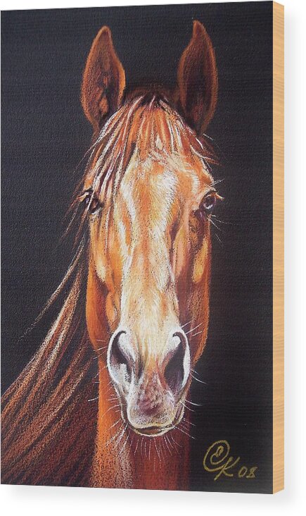 Horse Wood Print featuring the drawing Ready to run by Elena Kolotusha