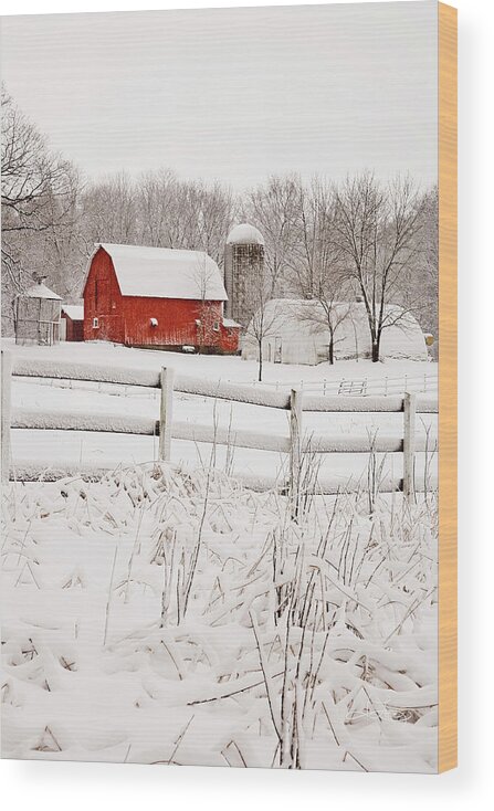 Michigan Wood Print featuring the photograph Red Barn in Winter by Jill Love