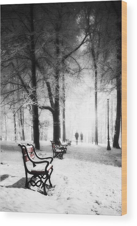  Winter Wood Print featuring the photograph Red benches in a park by Jaroslaw Grudzinski