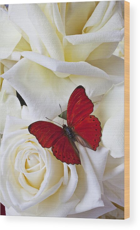 Red Wood Print featuring the photograph Red butterfly on white roses by Garry Gay