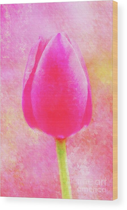  Wood Print featuring the photograph Red Tulip Dressed for Spring by Anita Pollak