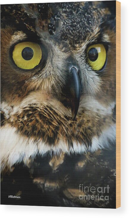 Owls Wood Print featuring the photograph Reelfoot Lake Owls by Veronica Batterson