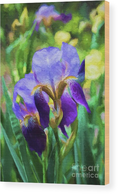 Iris Wood Print featuring the photograph Regal by Patricia Montgomery