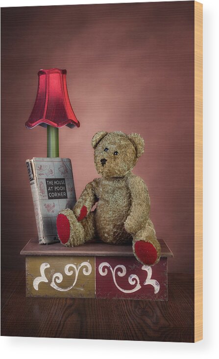 Pooh Wood Print featuring the photograph Required Reading by Tom Mc Nemar