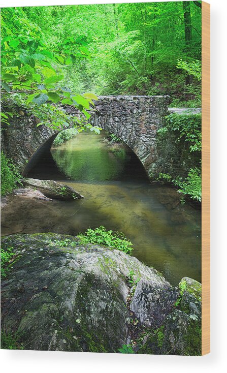 River Wood Print featuring the photograph River Bridge Series Y6536 by Carlos Diaz