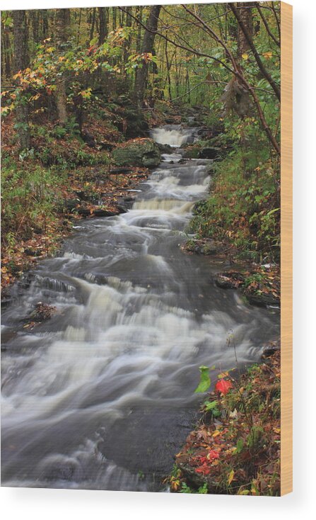 Stream Wood Print featuring the photograph Roaring Brook in Autumn by John Burk