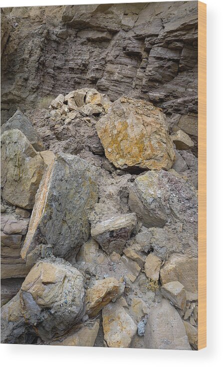 Desert Wood Print featuring the photograph Rock Fall by Alexander Kunz