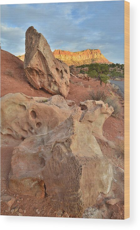 Capitol Reef National Park Wood Print featuring the photograph Rock Garden - Capitol Reef by Ray Mathis