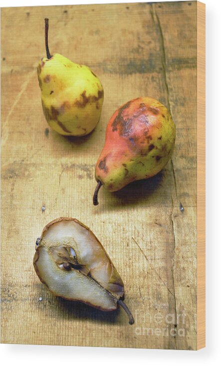 Pear Wood Print featuring the photograph Rotting Pears by Jill Battaglia