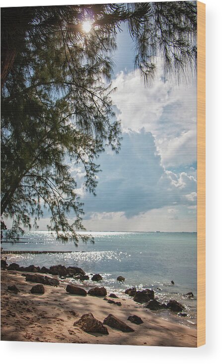 Grand Cayman Wood Print featuring the photograph Rum Point Vertical by Teresa Wilson