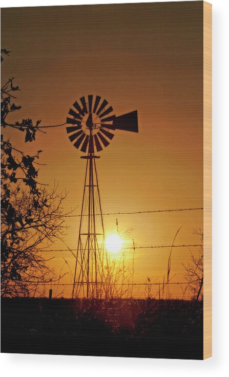 Corey Haynes Wood Print featuring the photograph Rural Sunset by CE Haynes