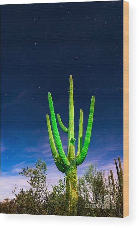 Arizona Wood Print featuring the photograph Saguaro Cactus Against Star Filled Sky by Bryan Mullennix