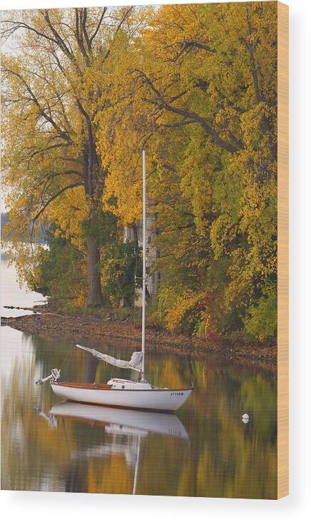 Lake Champlain Islands Wood Print featuring the photograph Sailboat in Alburg Vermont by George Robinson