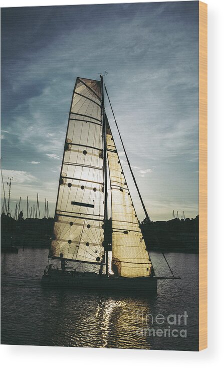 Active Wood Print featuring the photograph Sailboat in Front of Sun in Harbor by Andreas Berthold