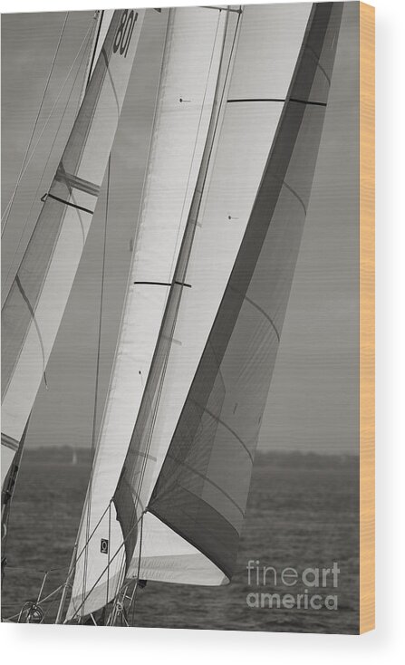 Sails Of A Sailboat Wood Print featuring the photograph Sails of a Sailboat Sailing by Dustin K Ryan