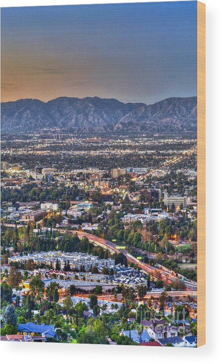 Universal City Wood Print featuring the photograph San Fernando Valley Vertical by David Zanzinger