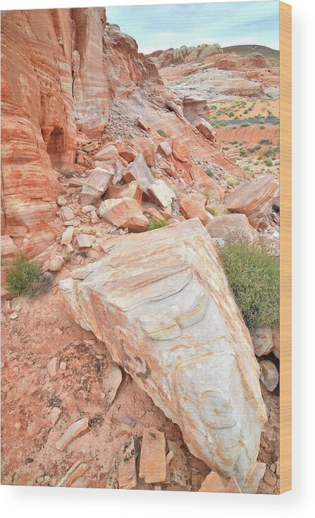 Valley Of Fire State Park Wood Print featuring the photograph Sandstone Arrowhead in Valley of Fire by Ray Mathis