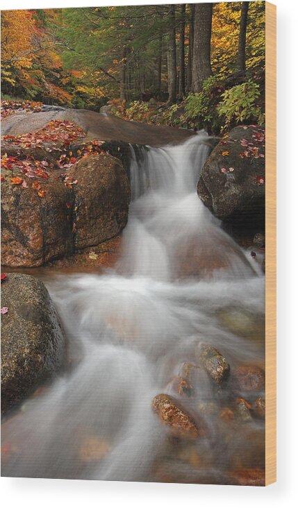 Table Rock Wood Print featuring the photograph Scenic New Hampshire at Table Rock by Juergen Roth