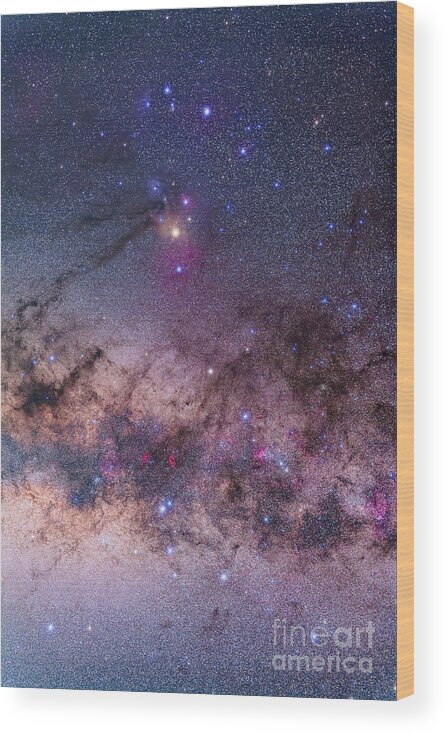 Antares Wood Print featuring the photograph Scorpius With Parts Of Lupus And Ara by Alan Dyer