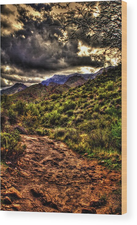 Arizona Wood Print featuring the photograph Second Water Trail, Mountains and Clouds by Roger Passman