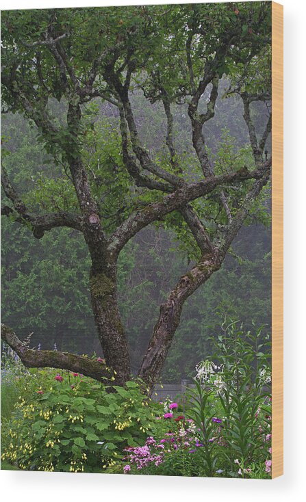 Tree Wood Print featuring the photograph Secret Garden by Juergen Roth