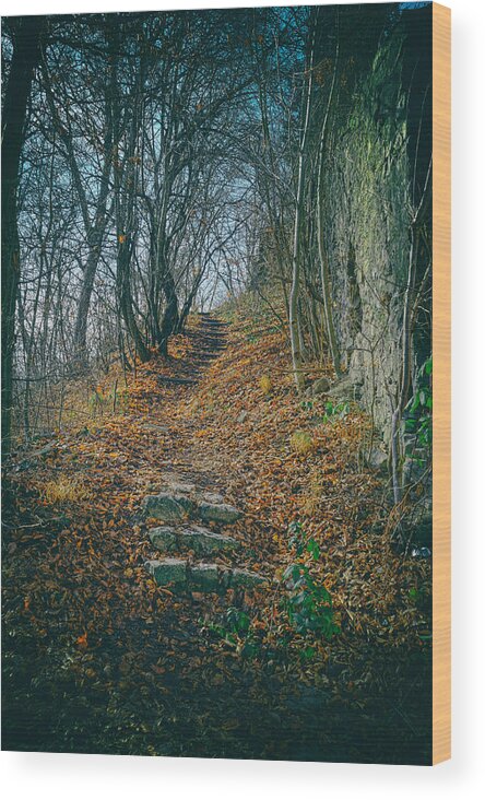Sentry Wood Print featuring the photograph Sentry Path Sighisoara by Adam Rainoff