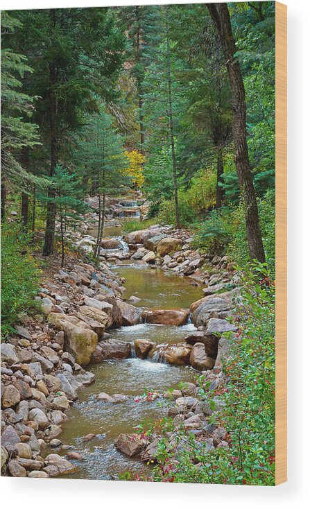 Seven Falls Wood Print featuring the photograph Seven Falls Pastoral Study 12 by Robert Meyers-Lussier