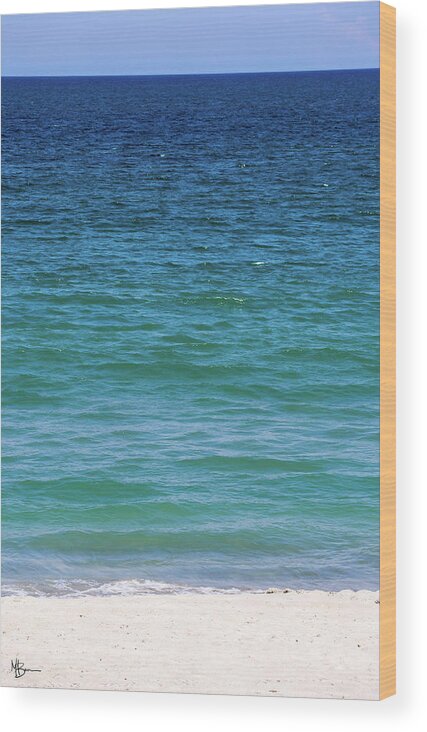 Beach Wood Print featuring the photograph Shades of Blue by Mary Anne Delgado