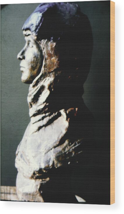 Firgutive Sculpture Sculptures Wood Print featuring the sculpture Sharrinni by Sarah Biondo