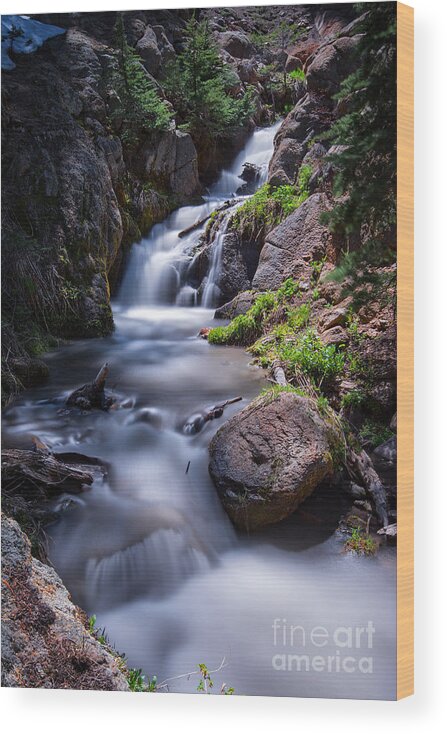 Waterfall Wood Print featuring the photograph Sierra Nevada Waterfall by Dianne Phelps