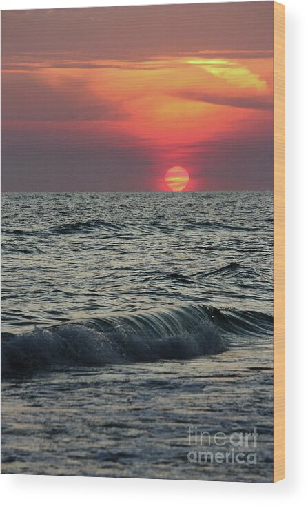 Sunset Wood Print featuring the photograph Siesta Key Sunset by Terri Mills