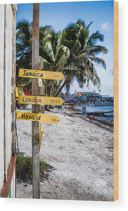 Beach Wood Print featuring the photograph Signs by Lawrence Burry