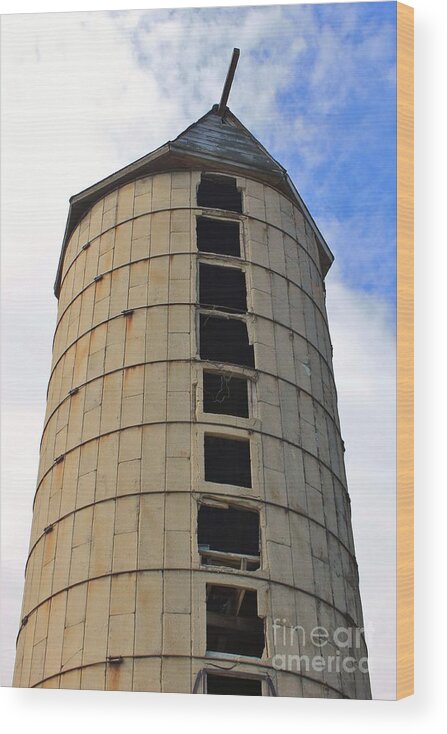 Ranch Wood Print featuring the photograph Silo History by Tonya Hance