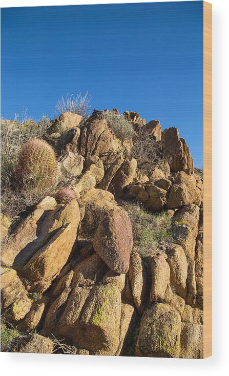 Anza Borrego State Park Wood Print featuring the photograph Skies stones and silence by Kunal Mehra